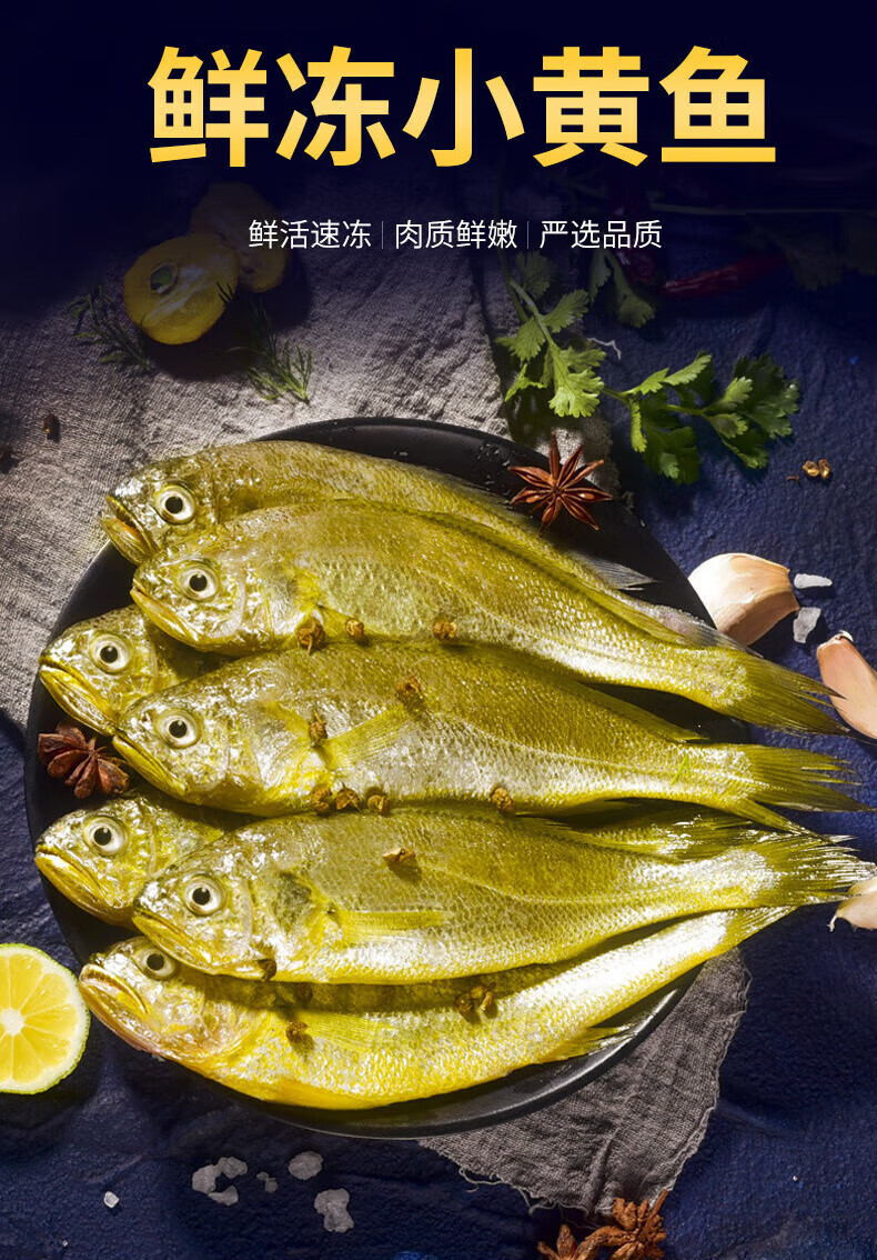 恺蒂鲜 青岛小黄花鱼新鲜海捕鲜活5斤小黄鱼冷冻生鲜海鲜水产深海鱼 5