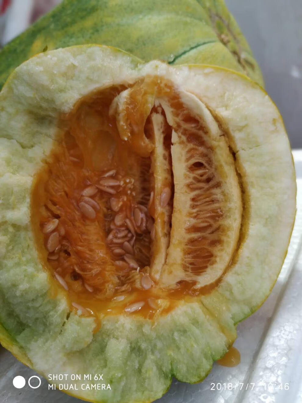 顺丰现货速发老味道山东老面瓜黄皮花皮面瓜当季现摘香瓜老年人低糖