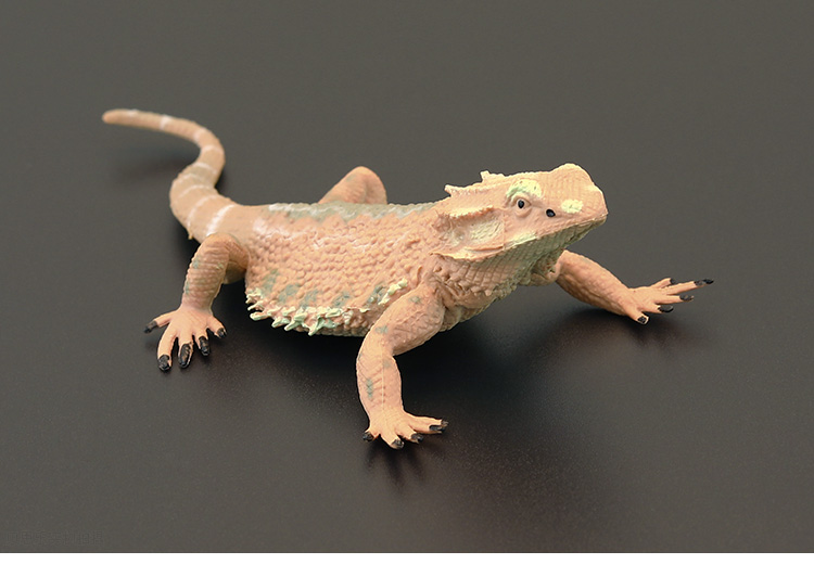 实心儿童仿真动物玩具野生动物模型套装中部鬃狮蜥蜥蜴礼品摆件深棕色