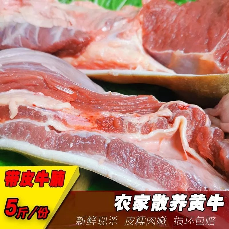 帶皮牛腩肉 現殺黃牛嫩方肉農家小時散養牛肉 三斤後腿【圖片 價格