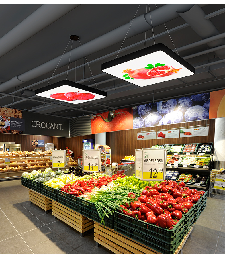 雷·士照明官方旗舰同款创意便利店异形吊灯超市商场定制创意生鲜