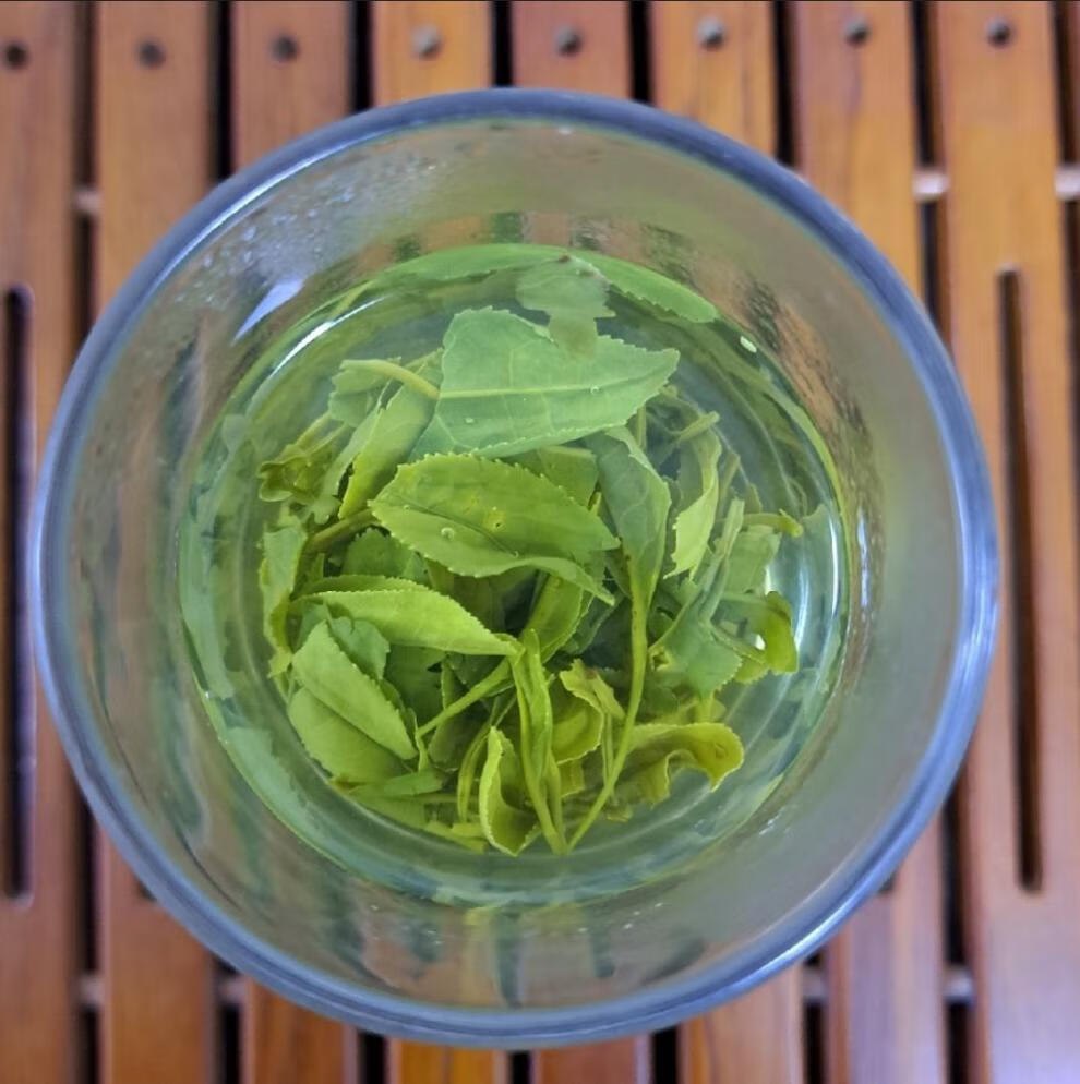 fghgf 正宗湖北保康炒青绿茶2022新茶浓香型袋装茶叶500g 500g 500g