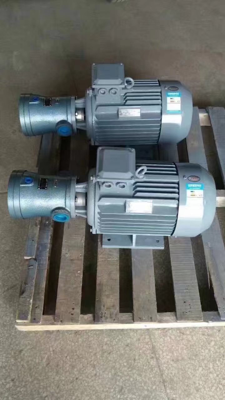 高压油泵电机组25cy-ye112-4轴向柱塞泵专用内轴电机电动 250/400cy