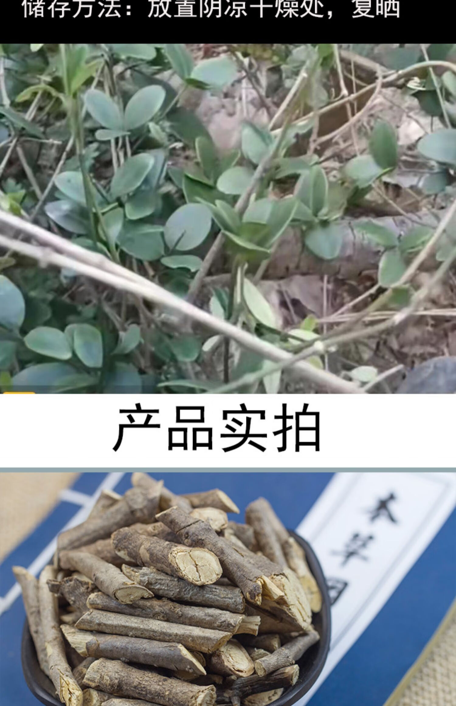 满山香根的功效图片