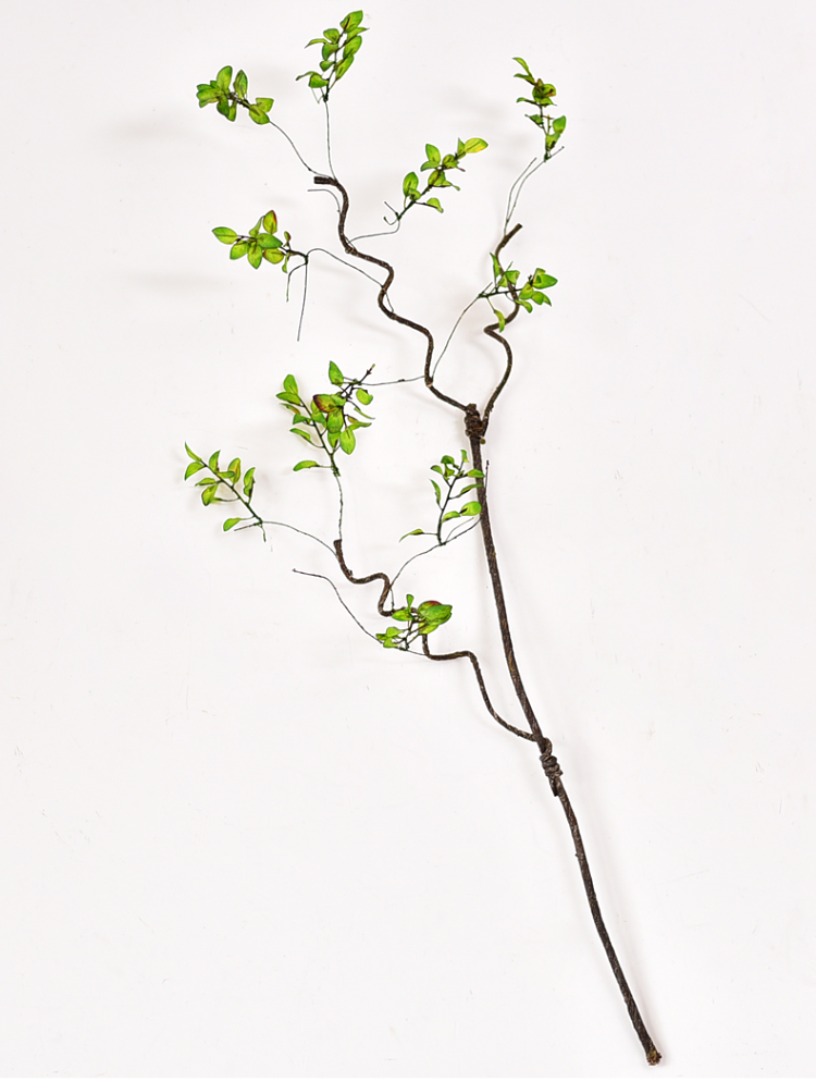 仿真树藤枯藤藤条装饰藤蔓树枝树干树叶婚庆吊顶植物绿植树枝 一枝