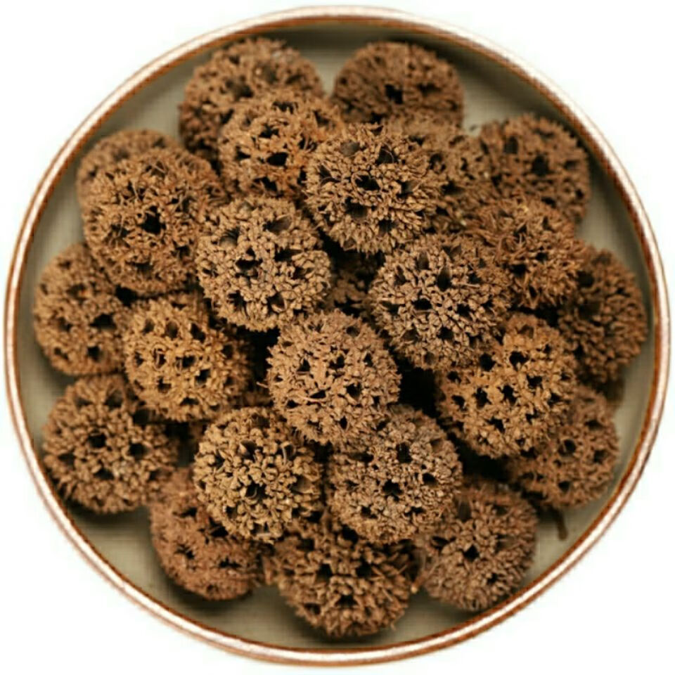 6015啡晨 野生路路通中药材100g 枫球子路路通中药 枫树球 枫树