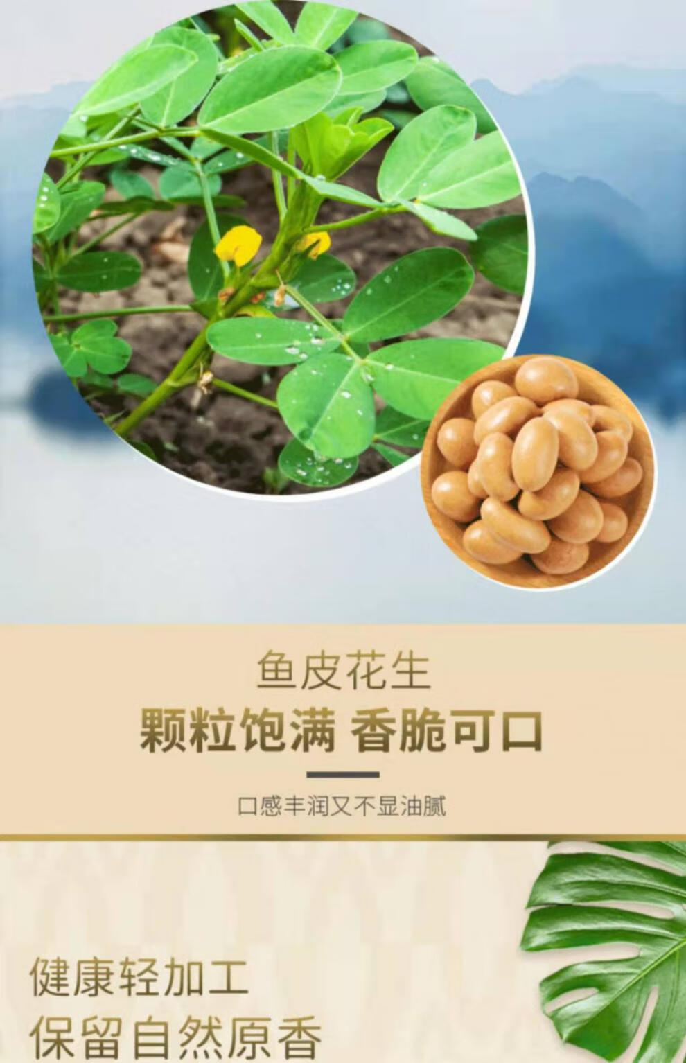 如水鱼皮花生 如水鱼皮花生鱼皮豆裹衣花生豆坚果80后怀旧孕妇小吃