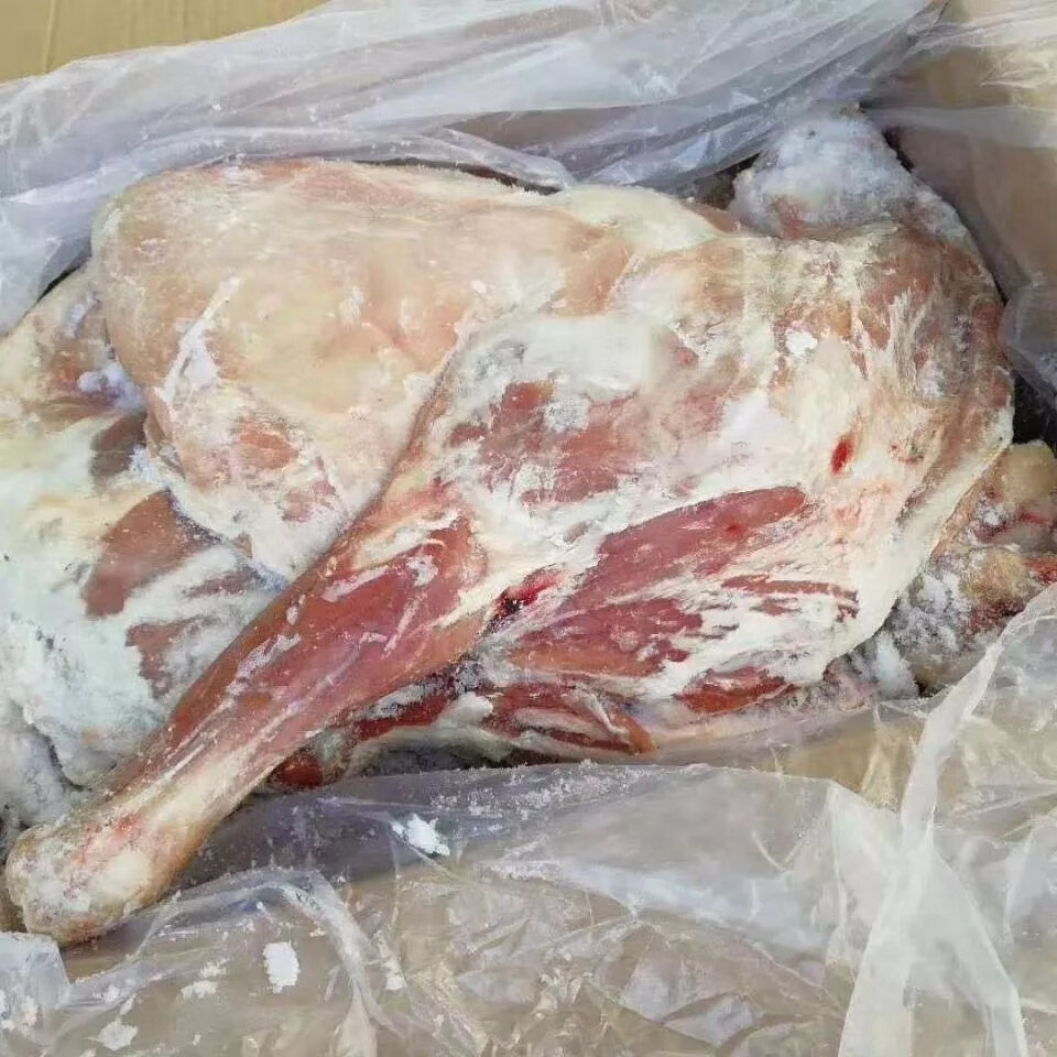 新鲜冷冻羔羊内蒙古烤全羊羔羊全羊鲜冻白条羊全羊整只烤全羊鲜杀 20