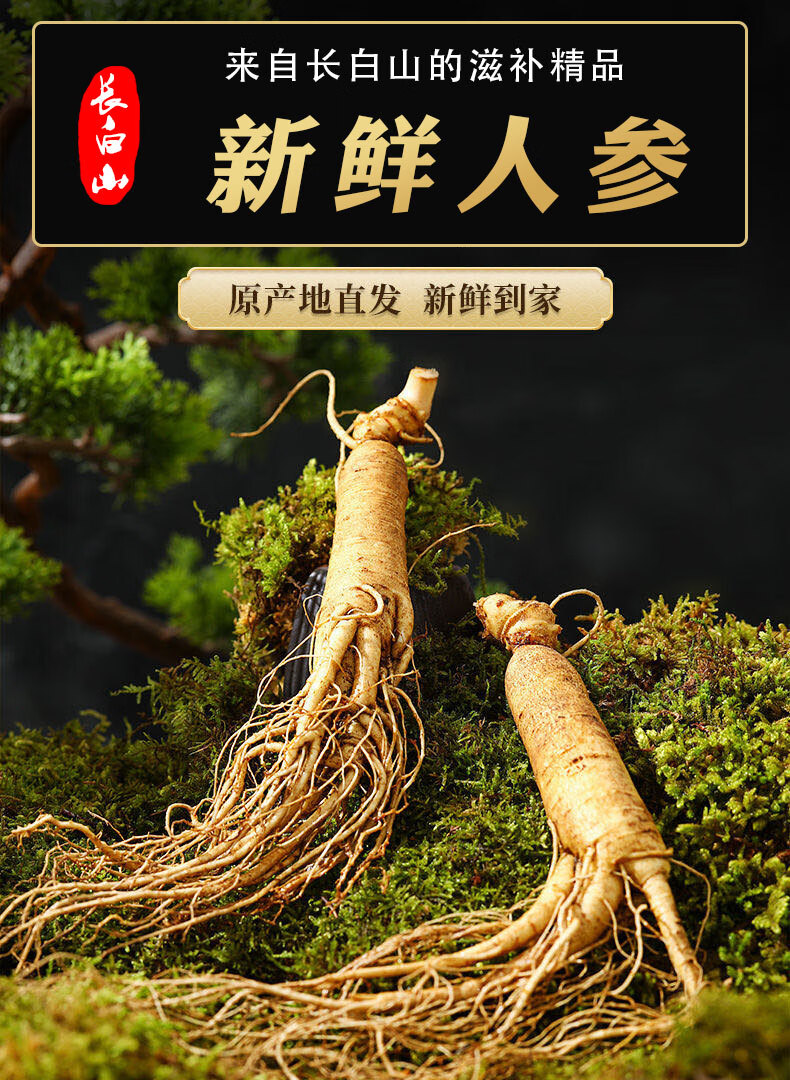 集参堂新鲜人参500克长白山人参鲜参火锅参泡酒料山参 精品新鲜人参15