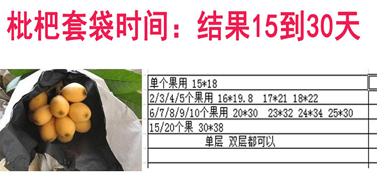 元井汇枇杷芒果套袋专用套袋果袋纸袋防水套袋水果套袋防鸟防虫枇杷