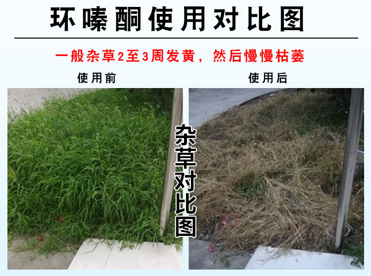 环嗪酮除树剂杀树王大树烂根烂树根药死树剂渗透杂竹净灭树除草剂 250