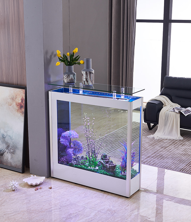 超薄鱼缸客厅家用鱼缸长方形简约大中型玻璃水族箱生态免换水玄关12