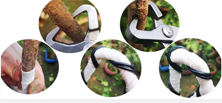 鼎木盆景工具 球节剪球形剪树瘤树节修剪钳 造型制作专用剪刀 s80