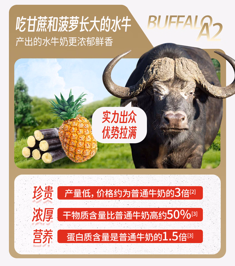 008331637d8bb362.jpg.avif