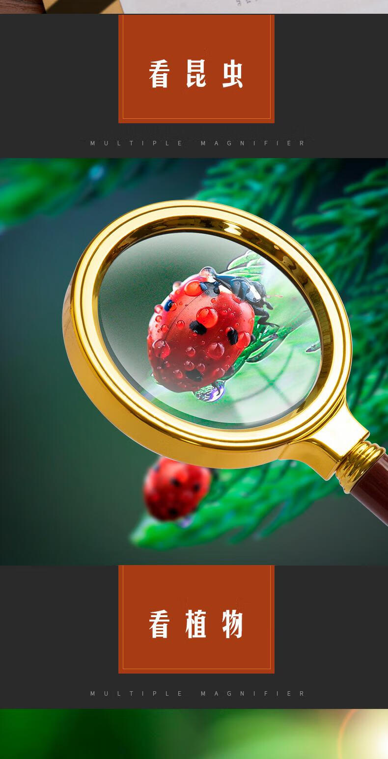 迪卡侬德国进口品质同款老人放大镜高清高倍数阅读手持式便携式