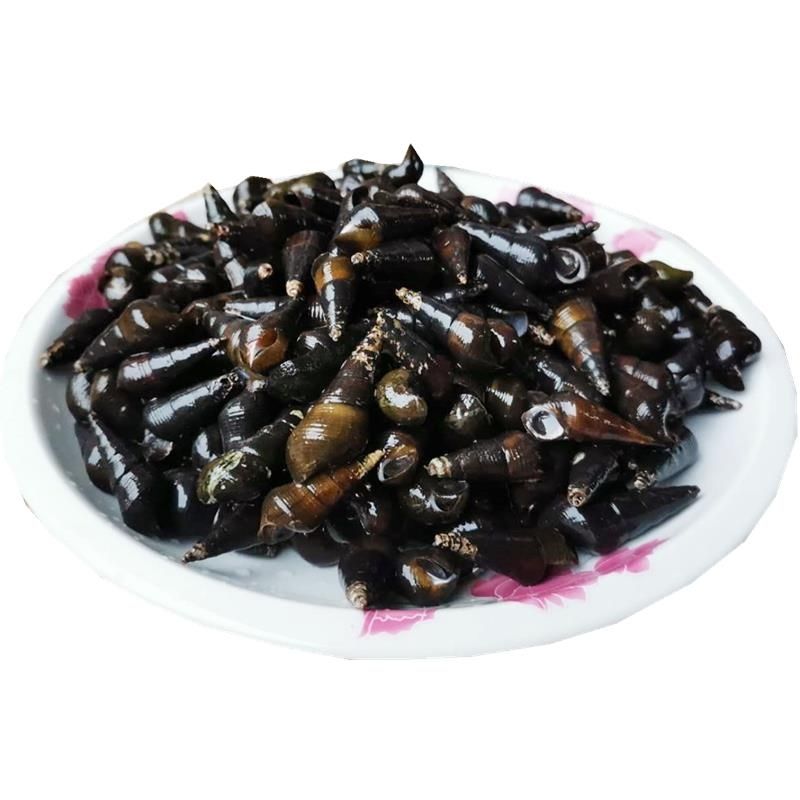 广西新鲜山坑螺野河坑螺黑钉螺黑螺长螺丝山螺特产 5斤中大个【图片