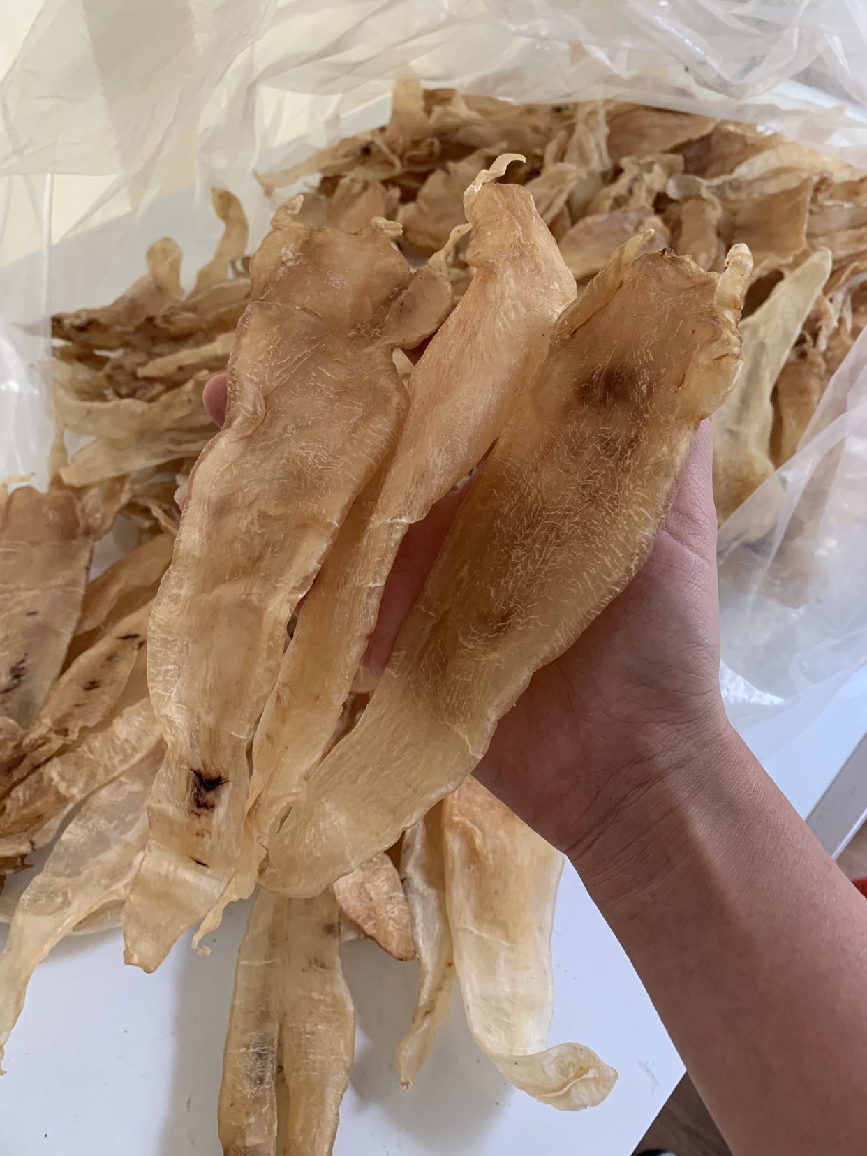 巴西北海鳘鱼胶深海鳘花胶干货孕妇滋补煲汤14头一斤半斤7个