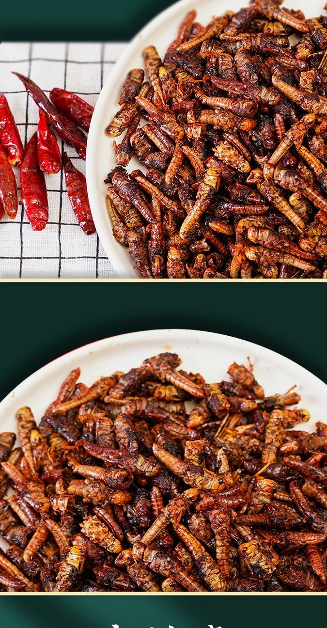 香辣味下酒零食酒肴香酥蚂蚱即食去翅蚂蚱油炸蚂蚱即食蝗虫 去翅香辣