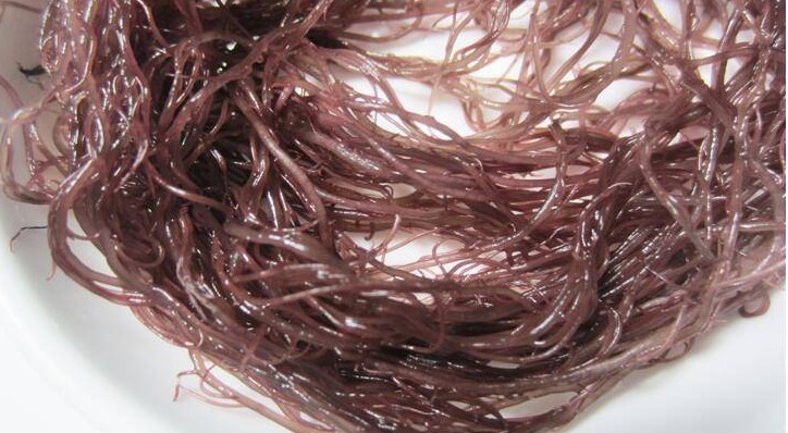 爵妃 海发菜干货 食用海鲜海草海藻产品凉拌海发菜头发龙须南北干货