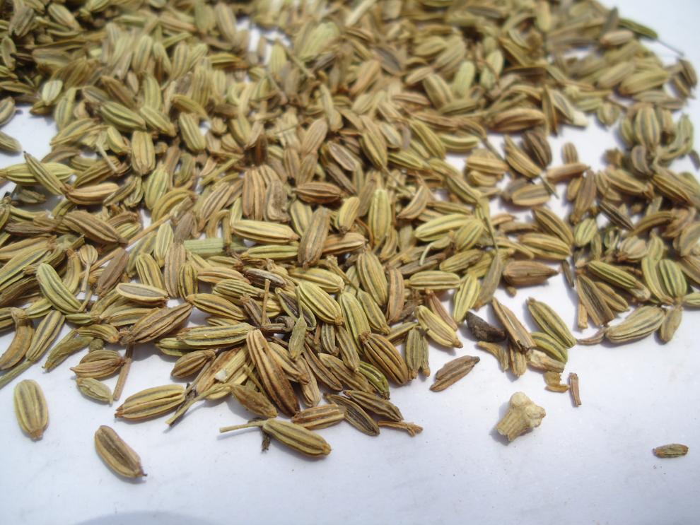 小茴香 小茴香粉 盐炒小茴香 盐小茴香 粉末1kg