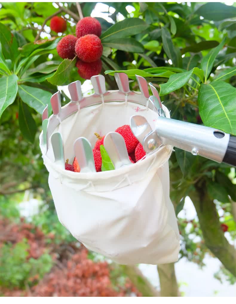 高空摘果器摘水果神器枇杷杏杨梅蓝莓摘果子可伸缩杆采摘果器工具