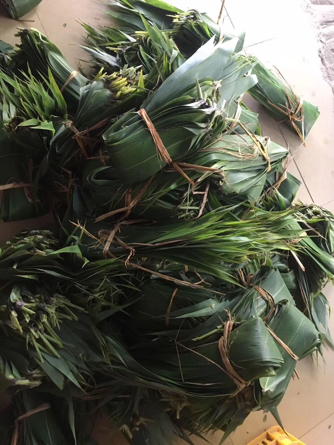 【精选s级】广东新鲜粽子叶野生芒叶四季叶子现摘 绳 新鲜现摘芒粽叶
