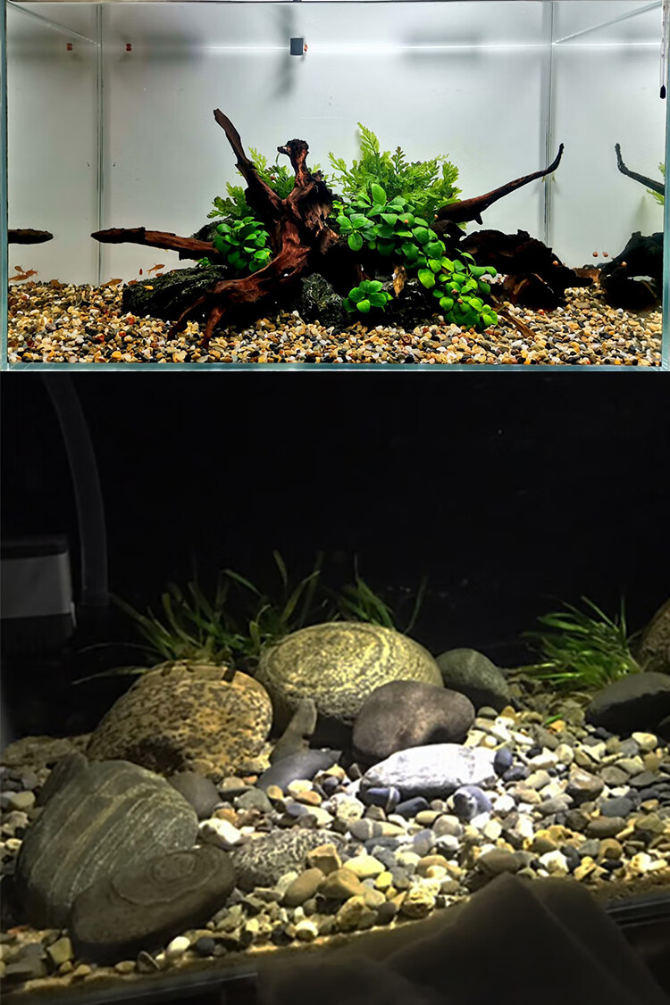 南美造景鱼缸底沙热带雨林沙沙大矶沙溪流砂鼠鱼雷龙沙化妆沙 中国红