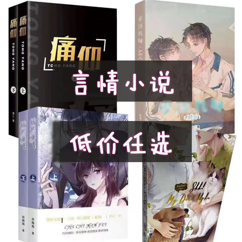 全新 少汪 痛仰 插翅难飞言情青春校园小说无删减实体书 痛仰无品