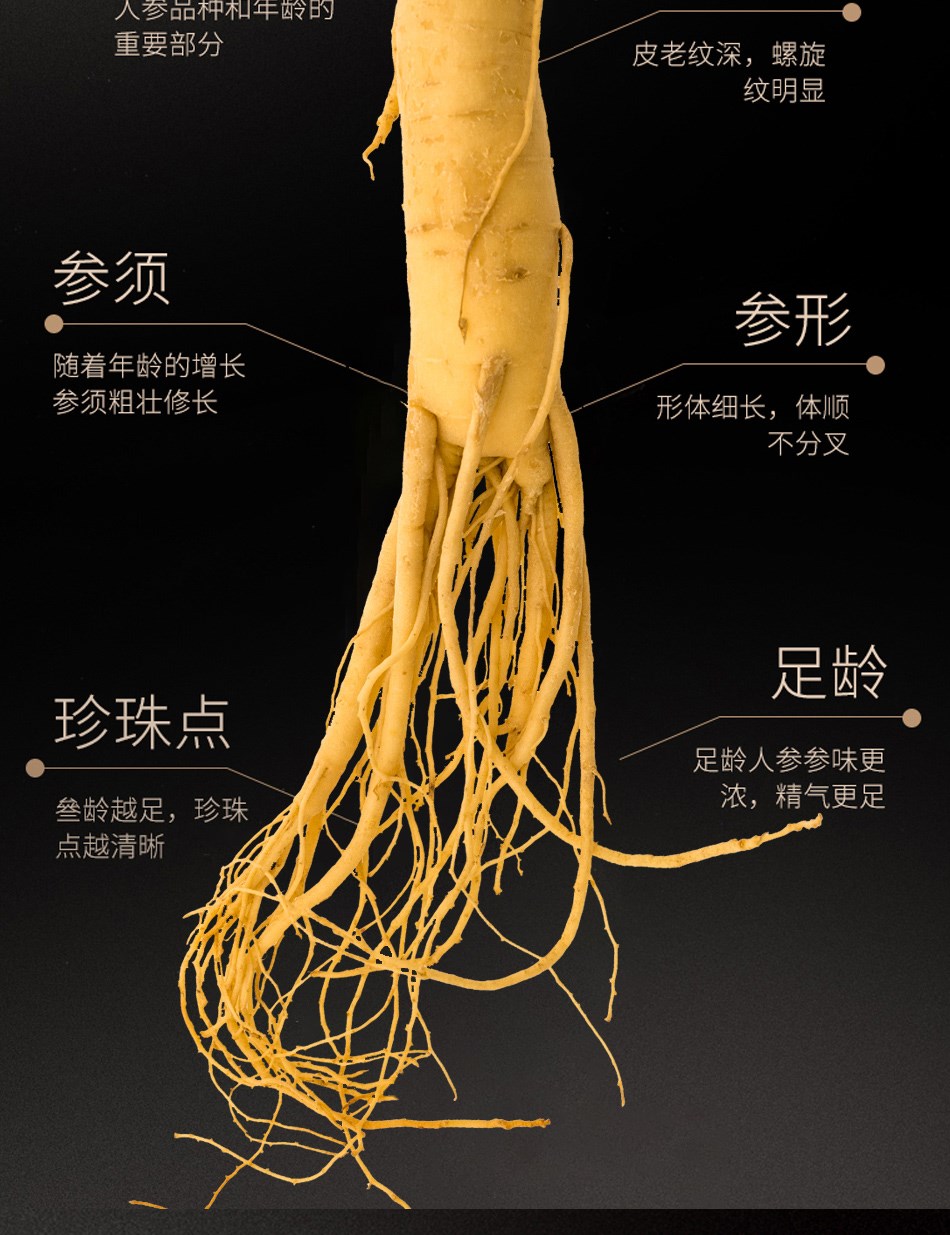 鲜人参东北长白山鲜参野生野山参干新鲜泡酒专用人叁白参人生 160g