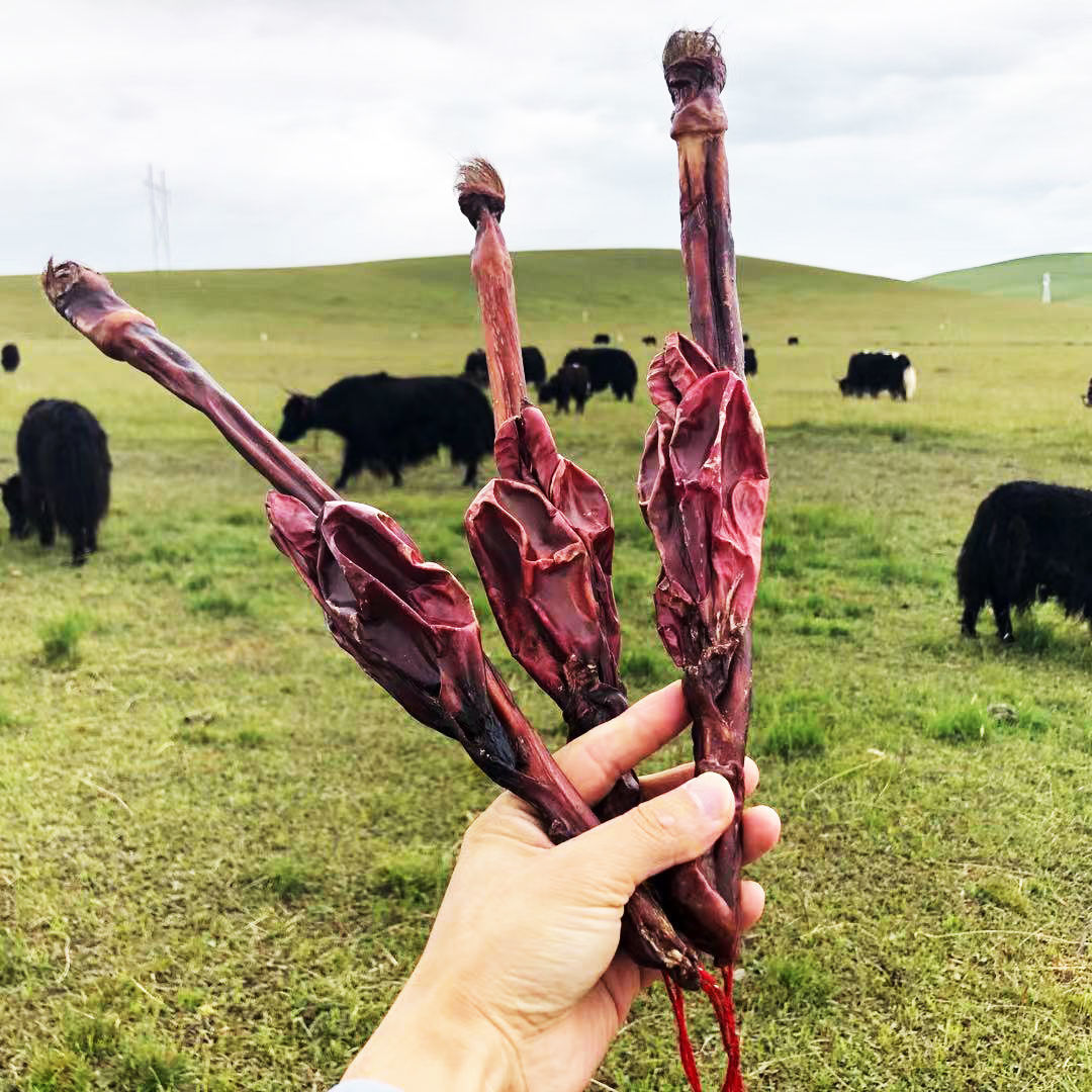 青藏高原牦牛鞭牛带睾丸,活动特卖100克新鲜整根男性泡酒 140克特大