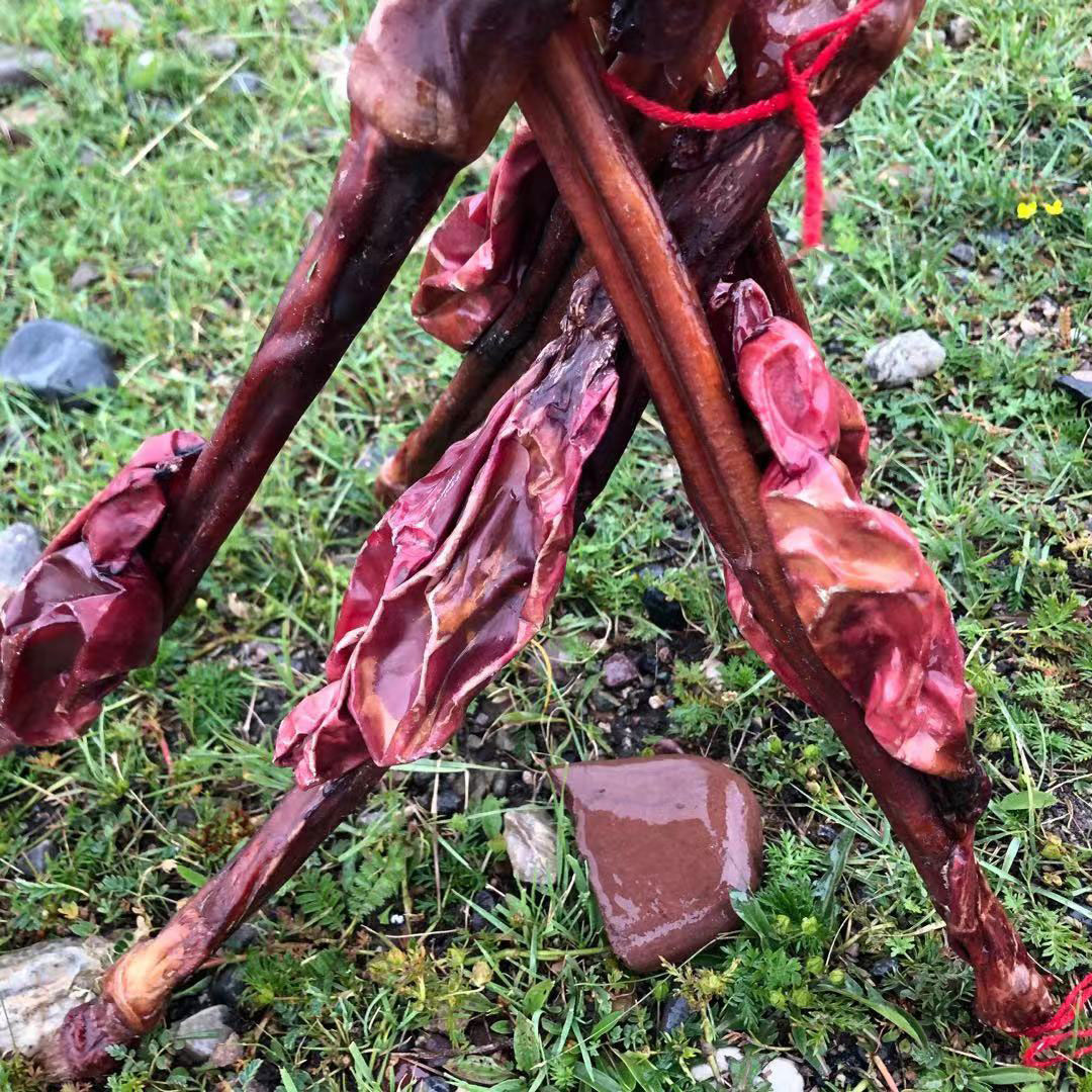 青藏高原牦牛鞭牛带睾丸,活动特卖100克新鲜整根男性泡酒 140克特大