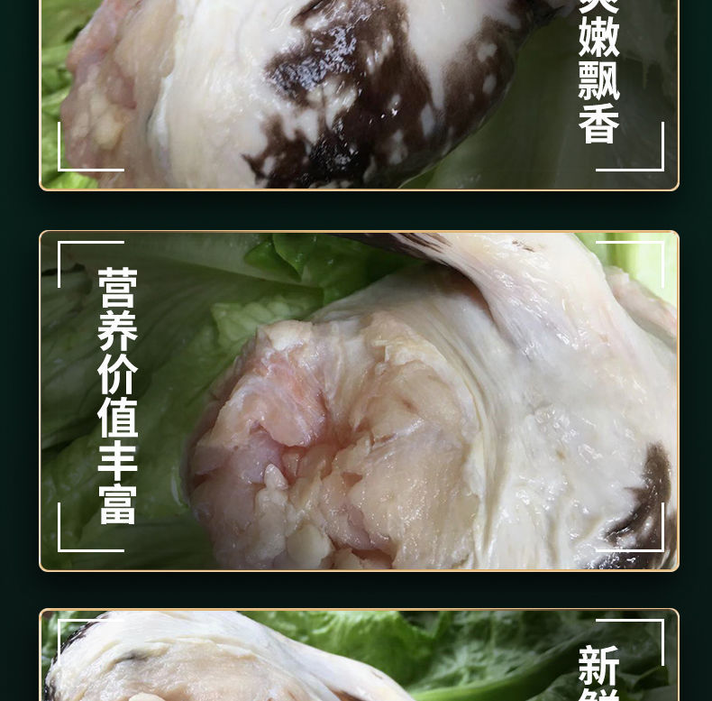 新鲜鳄鱼鞭肉 整根 现杀鳄鱼 人工养殖鳄鱼 新鲜肉类 顺丰 2条鳄鱼鞭