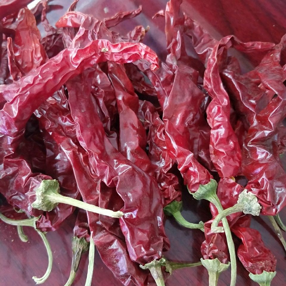 5折 东北红辣椒 250g-2500g 东北干辣椒 农家特产红干椒 农村风味