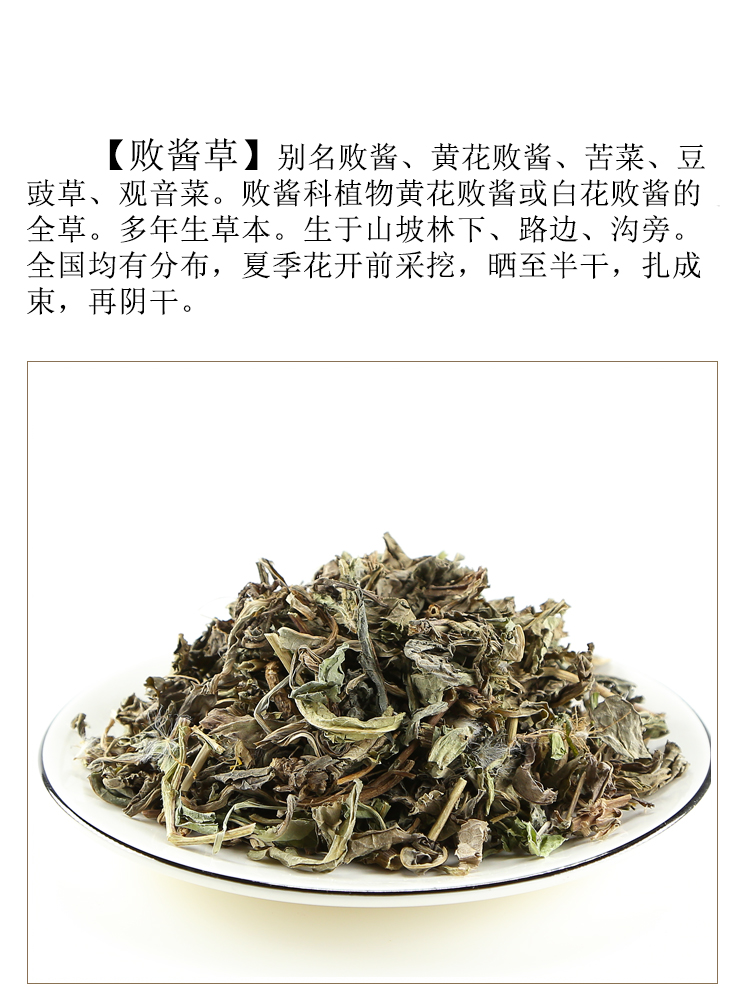 100克 败酱草中草药野生新鲜干货 黄花败酱草 北败酱草中药材 100克