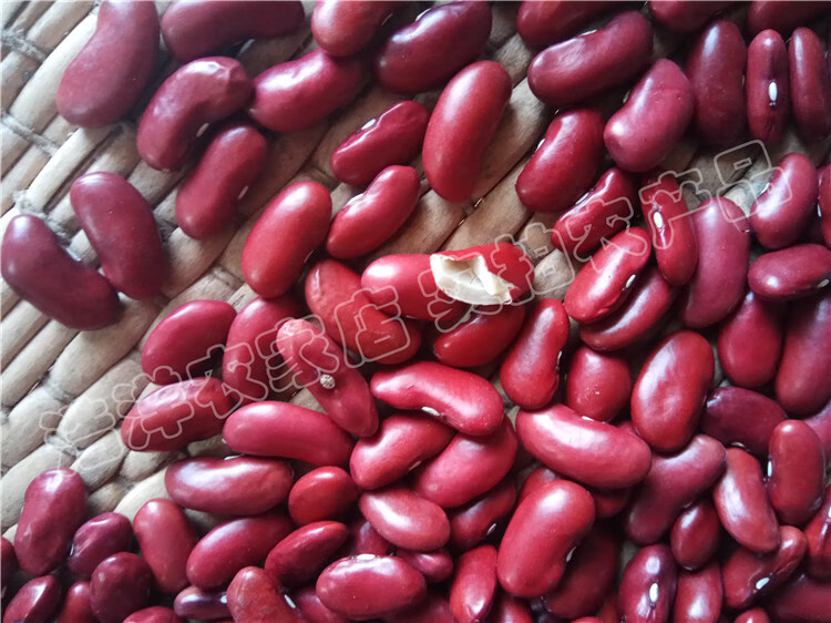 红芸豆红大豆 5斤 农家大红豆饭豆红腰豆红花豆豆浆煲粥 杂粮 红腰豆5