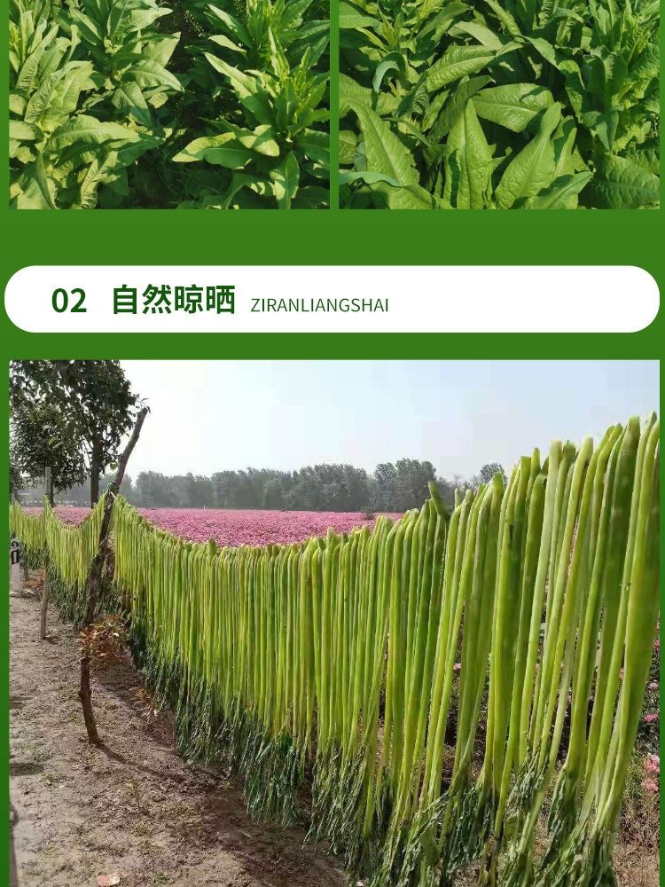 干货贡菜干苔干菜苔菜干响菜义门贡菜脱水蔬菜新鲜干