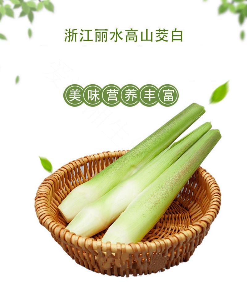 自家新鲜茭白高笋鲜嫩水笋交白产妇月子新鲜蔬菜 3斤【图片 价格 品牌