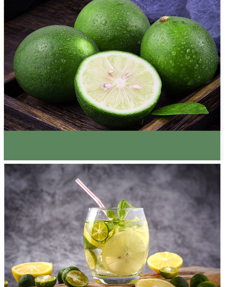 禾屹 小青桔果味饮料一整箱批发西柚汁酸甜风味饮品 青桔cc【酸甜