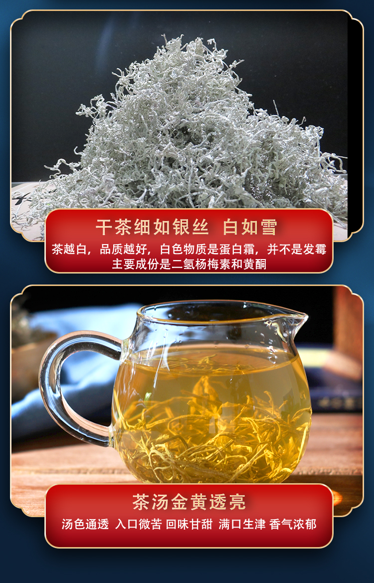 国模雪茶图片