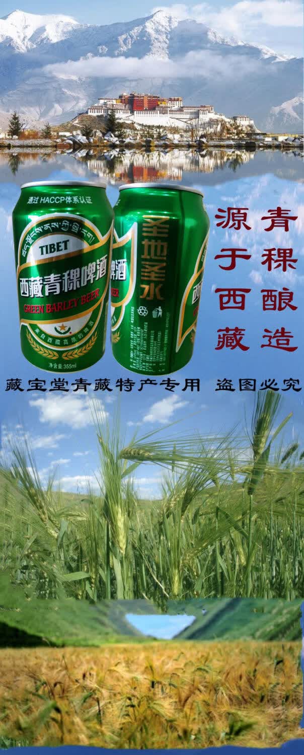 客家爱情西藏青稞啤酒355ml整箱拉萨原产地啤酒易拉罐装听装精酿啤酒