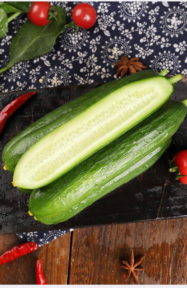 山东脆黄瓜 水果黄瓜新鲜 生吃当季蔬菜 小黄瓜青瓜 脆嫩清甜现摘现发