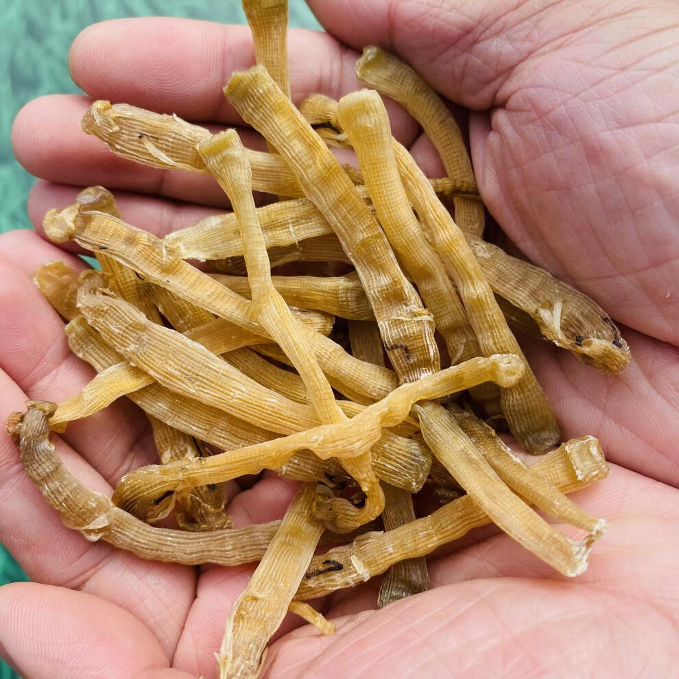 广西北海沙虫干 广西北海当地小沙虫50克80-90只 特产真足干无沙海虫