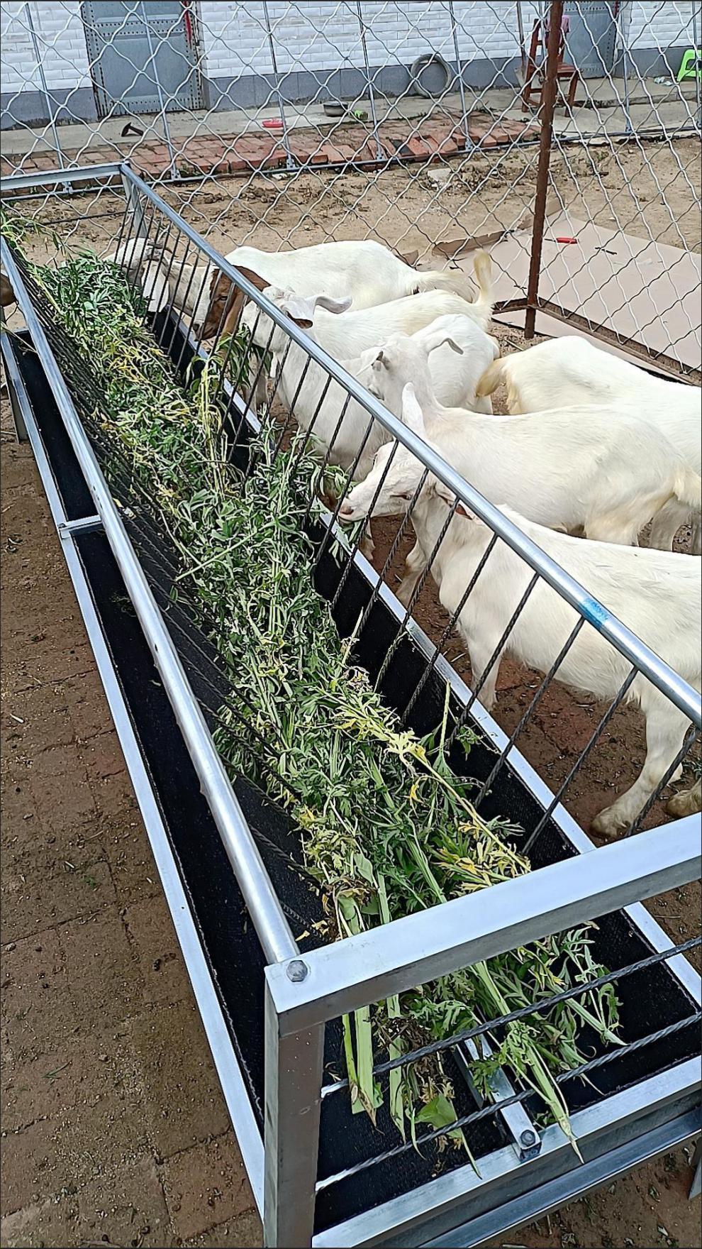 加厚牛羊槽橡胶输送带饮水喂料两用槽耐磨抗老化半成品皮带大号槽 3米