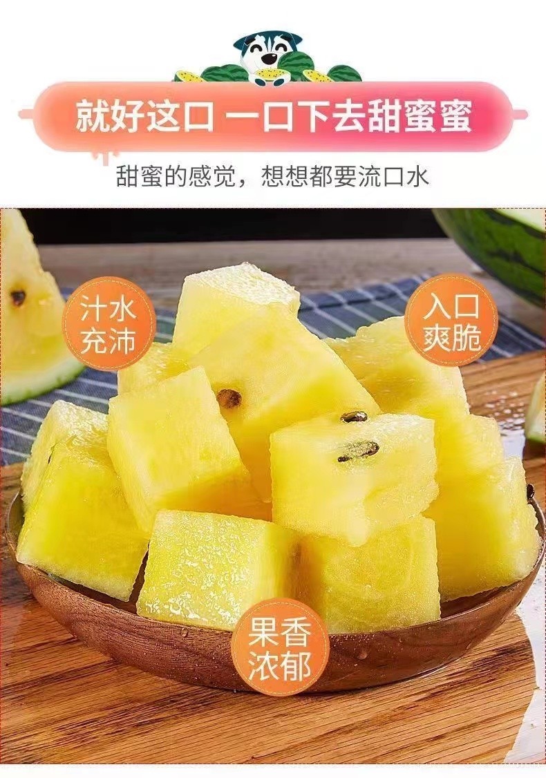 【jd物流】特小凤西瓜 脆甜黄心小西瓜水果皮薄多汁当季新鲜现摘现发