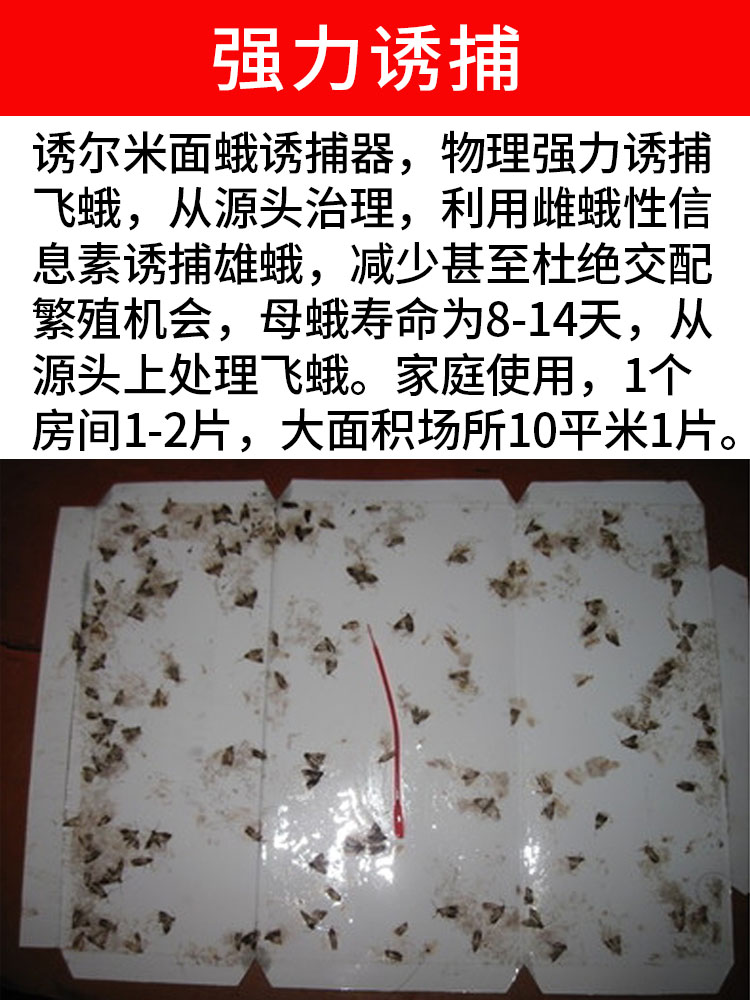 2022新品家用米面蛾诱捕器除灭驱厨房杀虫剂粮食飞蛾米虫蛾子小飞虫粘