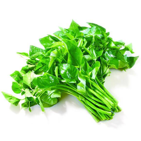 【精选】圆叶空心菜种子四季种植蔬菜种子阳台盆栽高产易种农家蔬菜