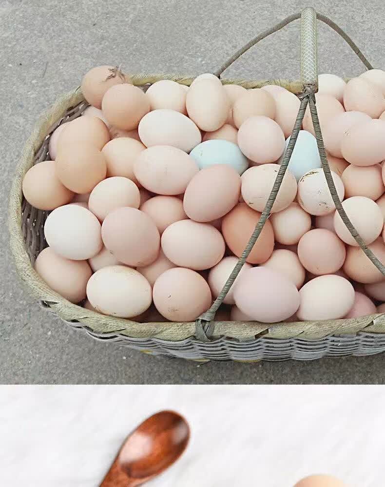 农家散养笨鸡蛋新鲜土鸡蛋绿壳乌鸡蛋土笨柴鸡蛋 皖南竹林土鸡蛋 50枚