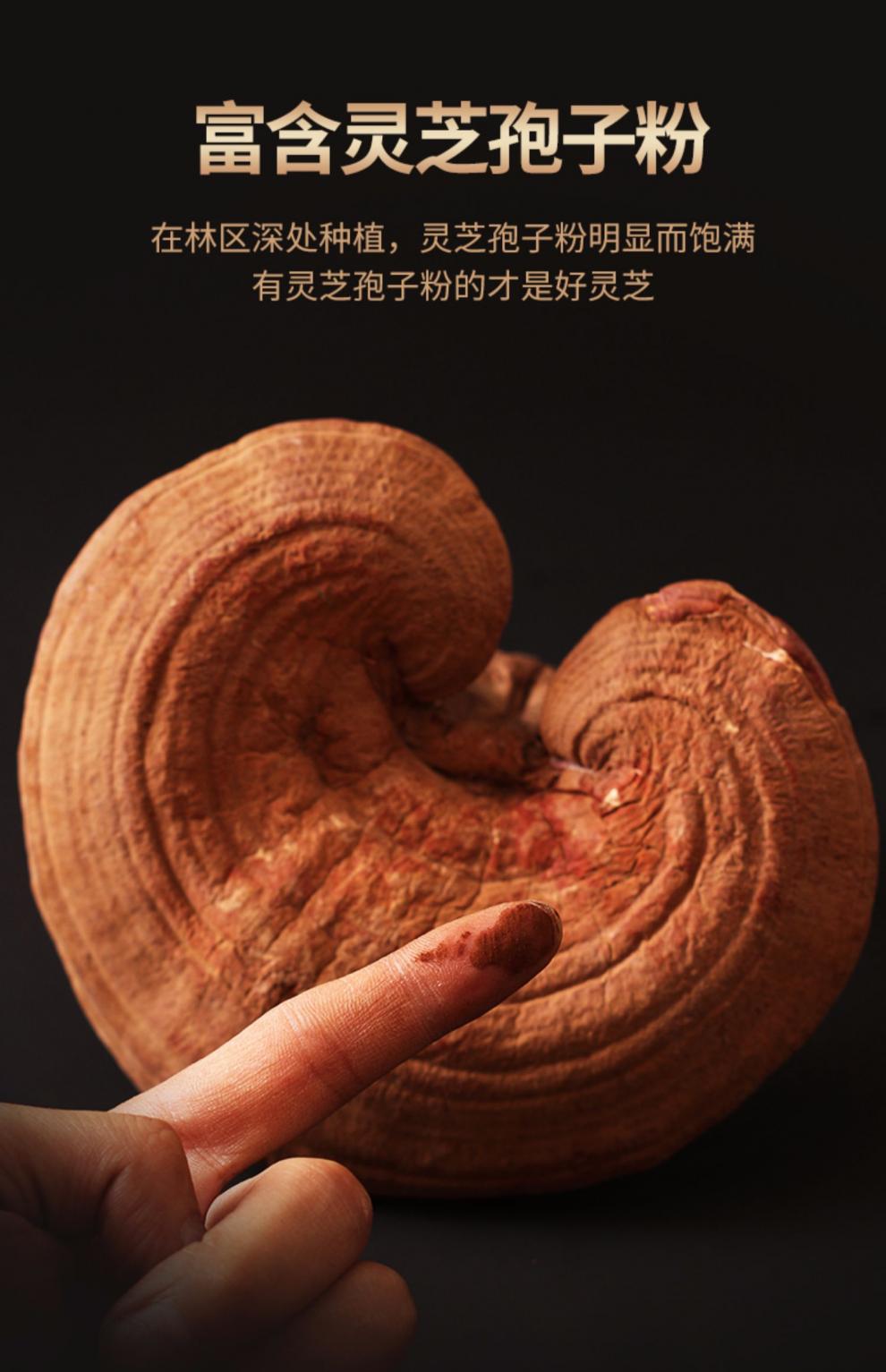 吃情派灵芝500克东北长白山林芝灵芝切片赤灵芝泡水灵芝茶