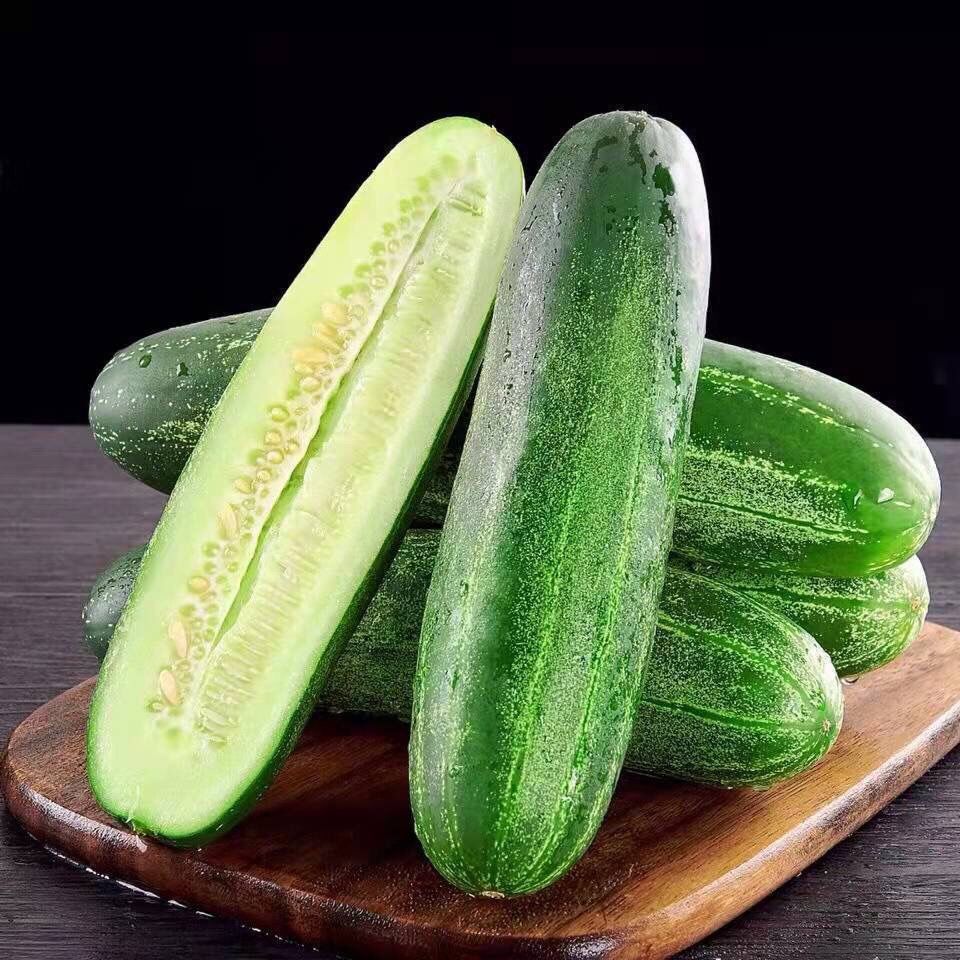 闽南农家自种新鲜黄瓜青瓜土黄瓜吊瓜老黄瓜露天种植非水果黄瓜 1斤