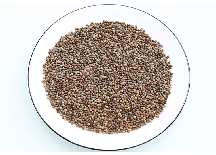 中药材 紫苏籽500克 紫苏子中药 食用 油 野生 可磨紫苏籽粉内廷上用